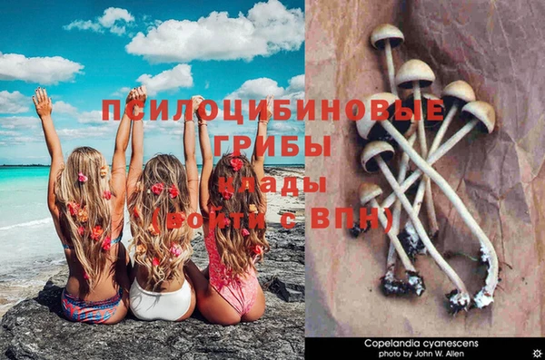 прущие крисы Волоколамск