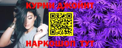 мдпв Камышлов