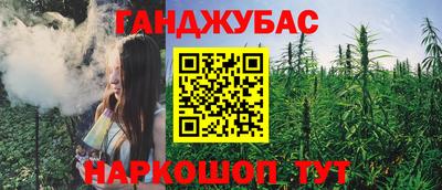 мдпв Камышлов