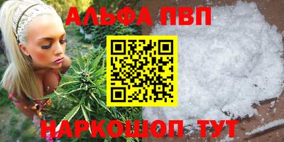 мдпв Камышлов