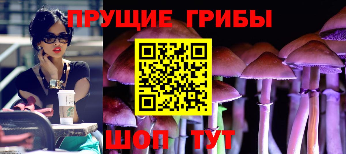 Мариинск  Псилоцибиновые грибы MAGIC MUSHROOMS  Галлюциногенные грибы мицелий  купить закладку  Вход с VPN 