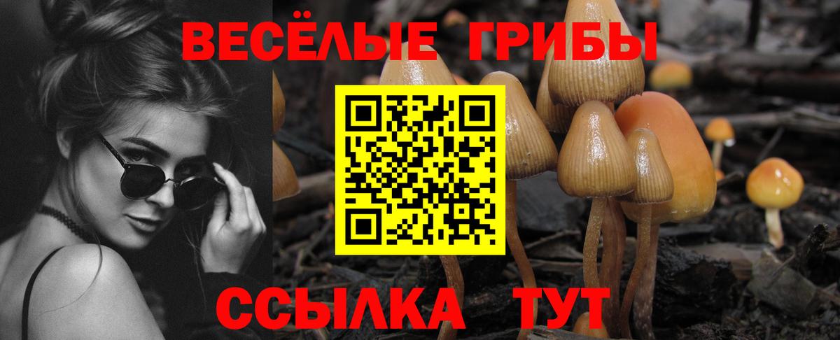 Псилоцибиновые грибы Cubensis Мариинск